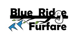 Blue Ridge Furfare 2020