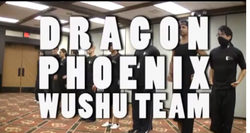 Dragon Phoenix Wushu Team