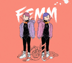 FEMM