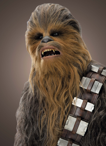 Chewbacca