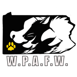 Western PA Furry Weekend 2020