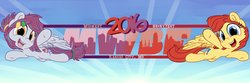 Midwest Brony Fest 2016