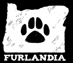 Furlandia 2025