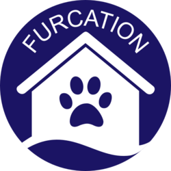 Furcation 2024