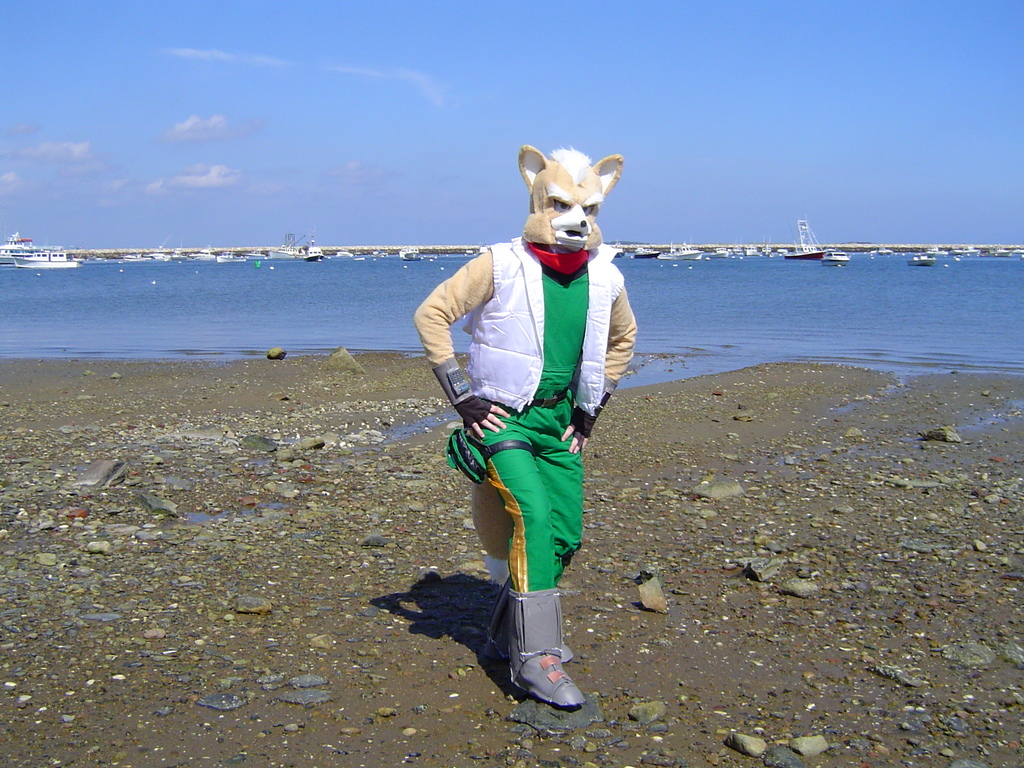 PatrickD as Fox McCloud